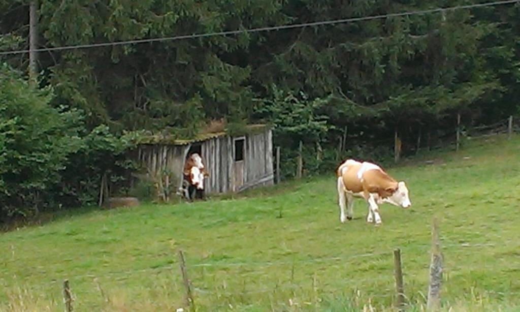 Martina Frey Ferienwohnungen Baiersbronn Luaran gambar