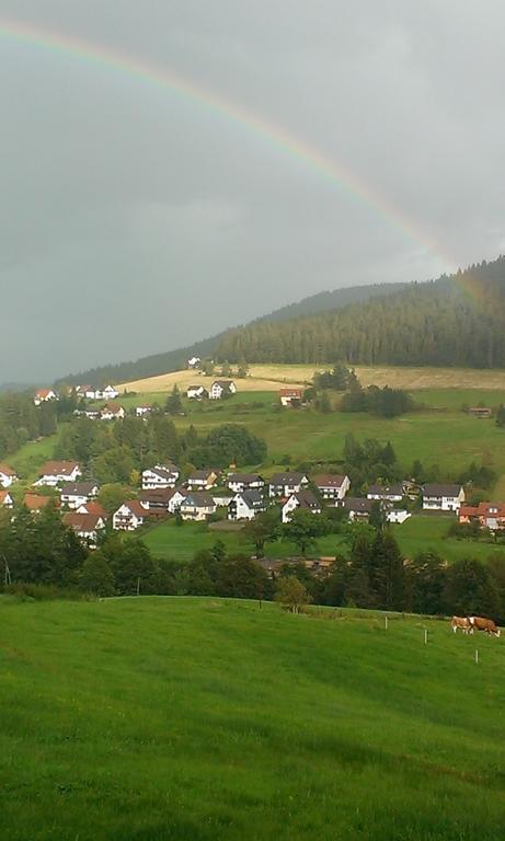 Martina Frey Ferienwohnungen Baiersbronn Luaran gambar