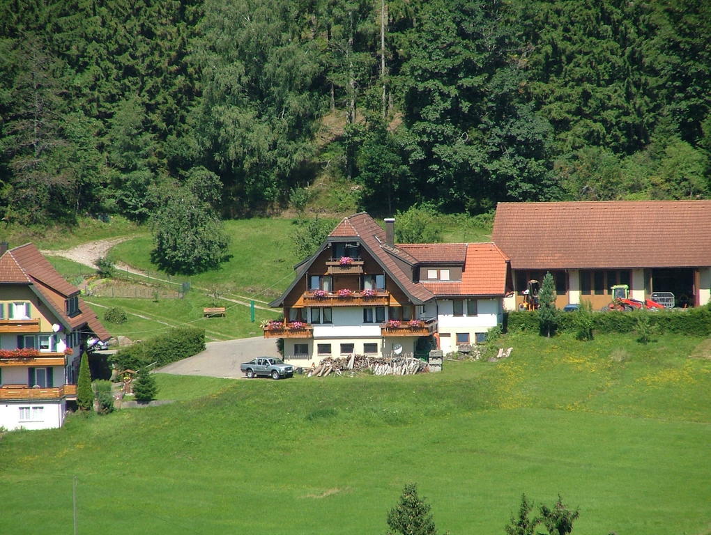 Martina Frey Ferienwohnungen Baiersbronn Luaran gambar