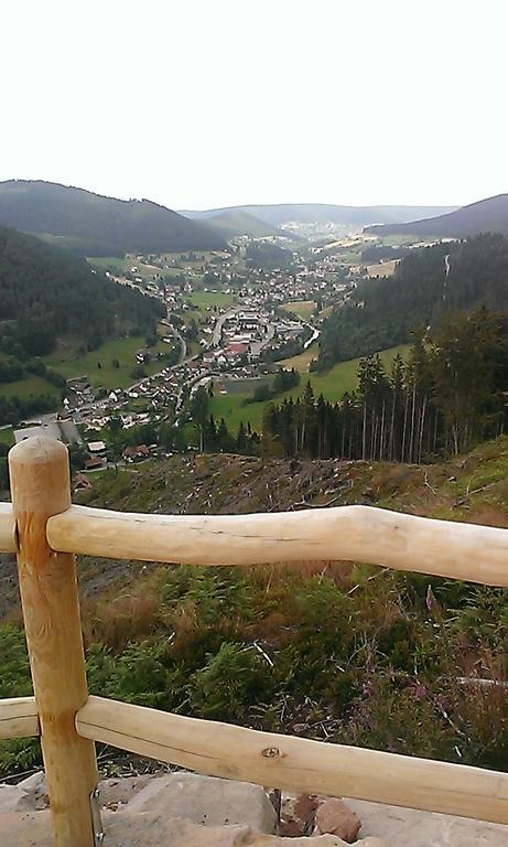 Martina Frey Ferienwohnungen Baiersbronn Luaran gambar