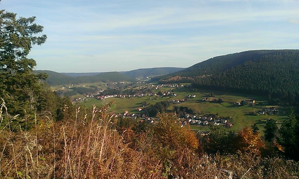 Martina Frey Ferienwohnungen Baiersbronn Luaran gambar