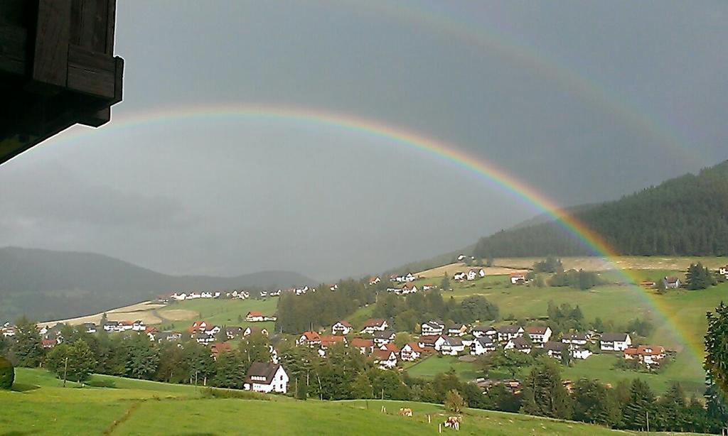 Martina Frey Ferienwohnungen Baiersbronn Luaran gambar
